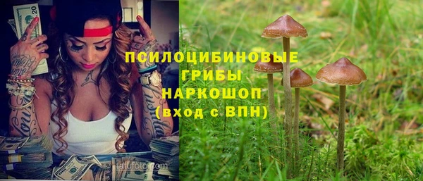 дмт Алексин