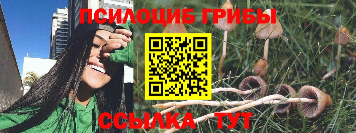 Галлюциногенные грибы прущие грибы Луга