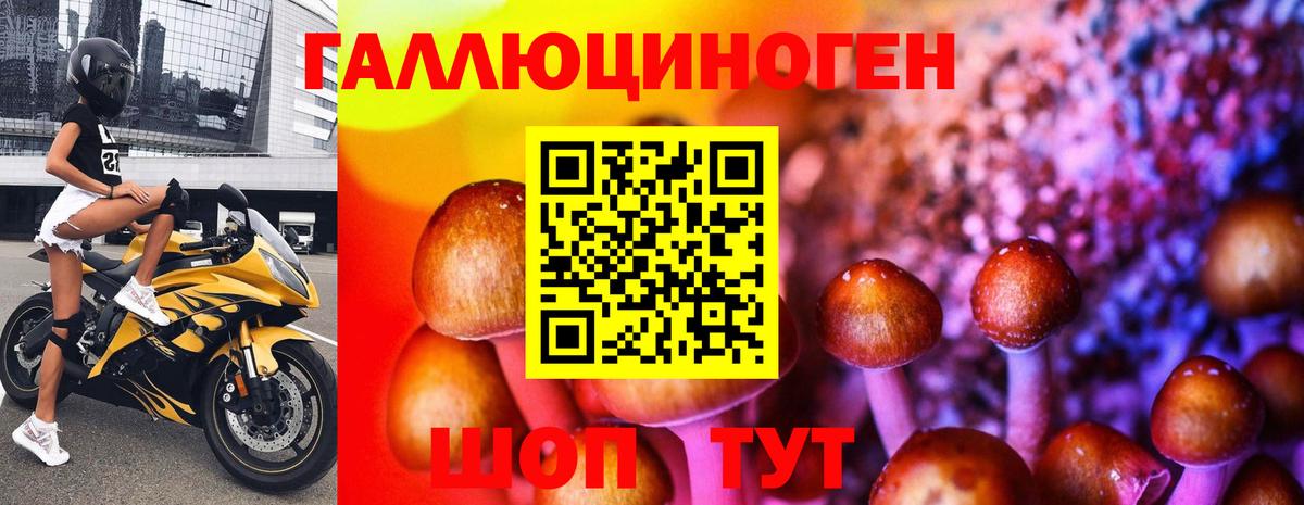 Галлюциногенные грибы MAGIC MUSHROOMS  Вход с VPN  Луга  Псилоцибиновые грибы ЛСД 